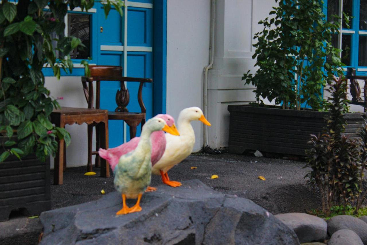 Hotel Merdeka Kediri Kediri  Zewnętrze zdjęcie
